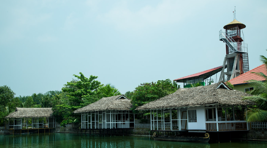 Mango Meadows Agricultural Theme Park, Kerala, India